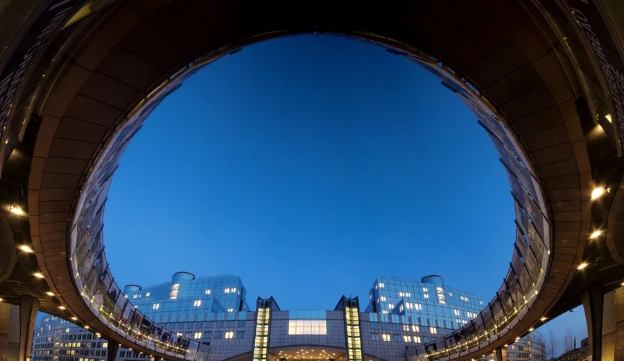 European Union flags parliament building
